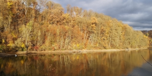 Twistesee10