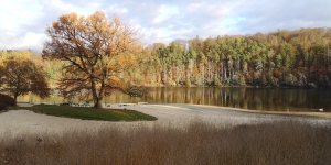 Twistesee13