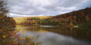 Twistesee8
