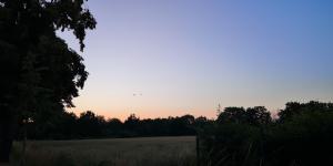 IMG 20230624 214202