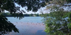 IMG 20230625 113210