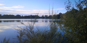 Greven 14