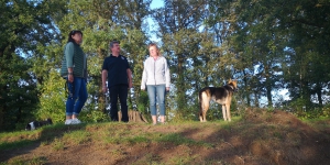 Greven 15