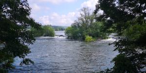 IMG 20230805 113350