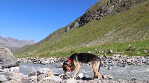 Oetztal 21