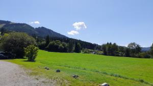 Wertach 3