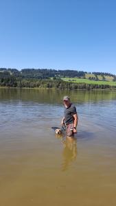 Wertach 6