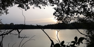 IMG 20231004 081015