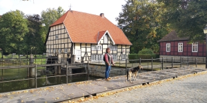 IMG 20231004 111628