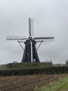 IMG 0525
