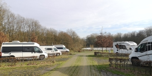 IMG 20240120 130128
