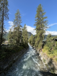 IMG 0306