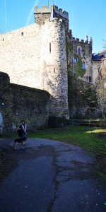 IMG 20240229 135027