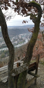 IMG 20240301 111143