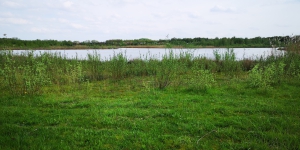 IMG 20240412 172700