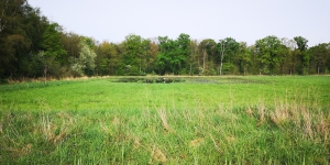 IMG 20240413 104912