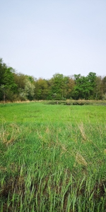 IMG 20240413 105005