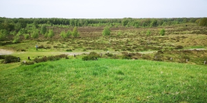 IMG 20240413 123146