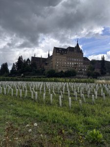 Eifel17