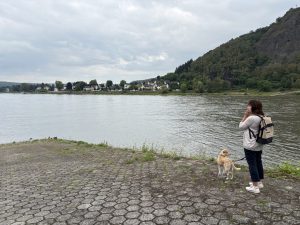 Eifel3