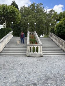IMG 1186-Gross