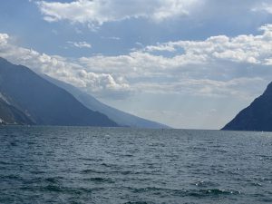 IMG 1706-Gross