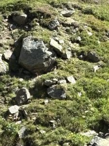 Gross-2-Amberger-Huette10