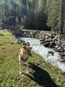 Gross-2-Amberger-Huette2