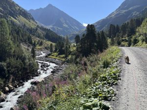 Gross-2-Amberger-Huette3