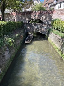 Gross-6-Ulm12