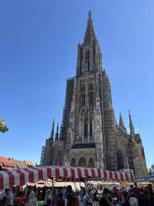 Gross-6-Ulm5