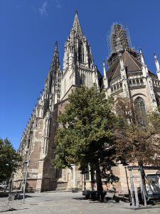 Gross-6-Ulm6