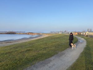 17.01.2026 Nord-Holland