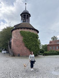 Mueritz-Ostsee11