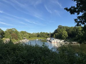 Mueritz-Ostsee159