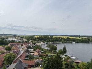 Mueritz-Ostsee28