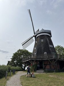 Mueritz-Ostsee37