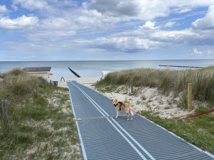 Mueritz-Ostsee68