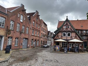 Mueritz-Ostsee7